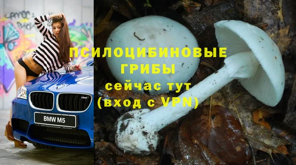 apvp Абдулино