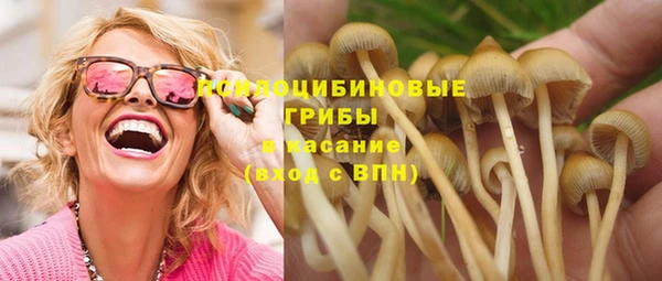 apvp Абдулино