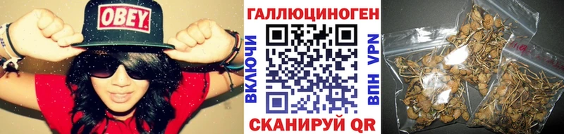 Псилоцибиновые грибы MAGIC MUSHROOMS  купить  цена  Гагарин 
