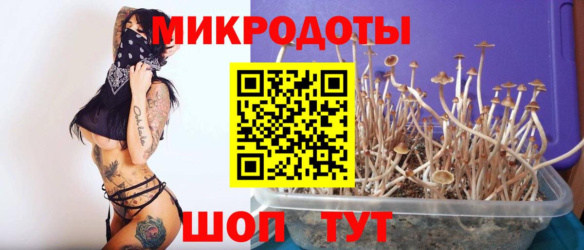 Галлюциногенные грибы прущие грибы  где найти   Гагарин  Вход с VPN 